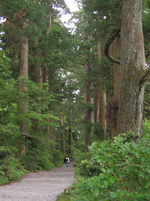 A peaceful landscape of Hakone with mountains and Lake Ashi near Tokyo.