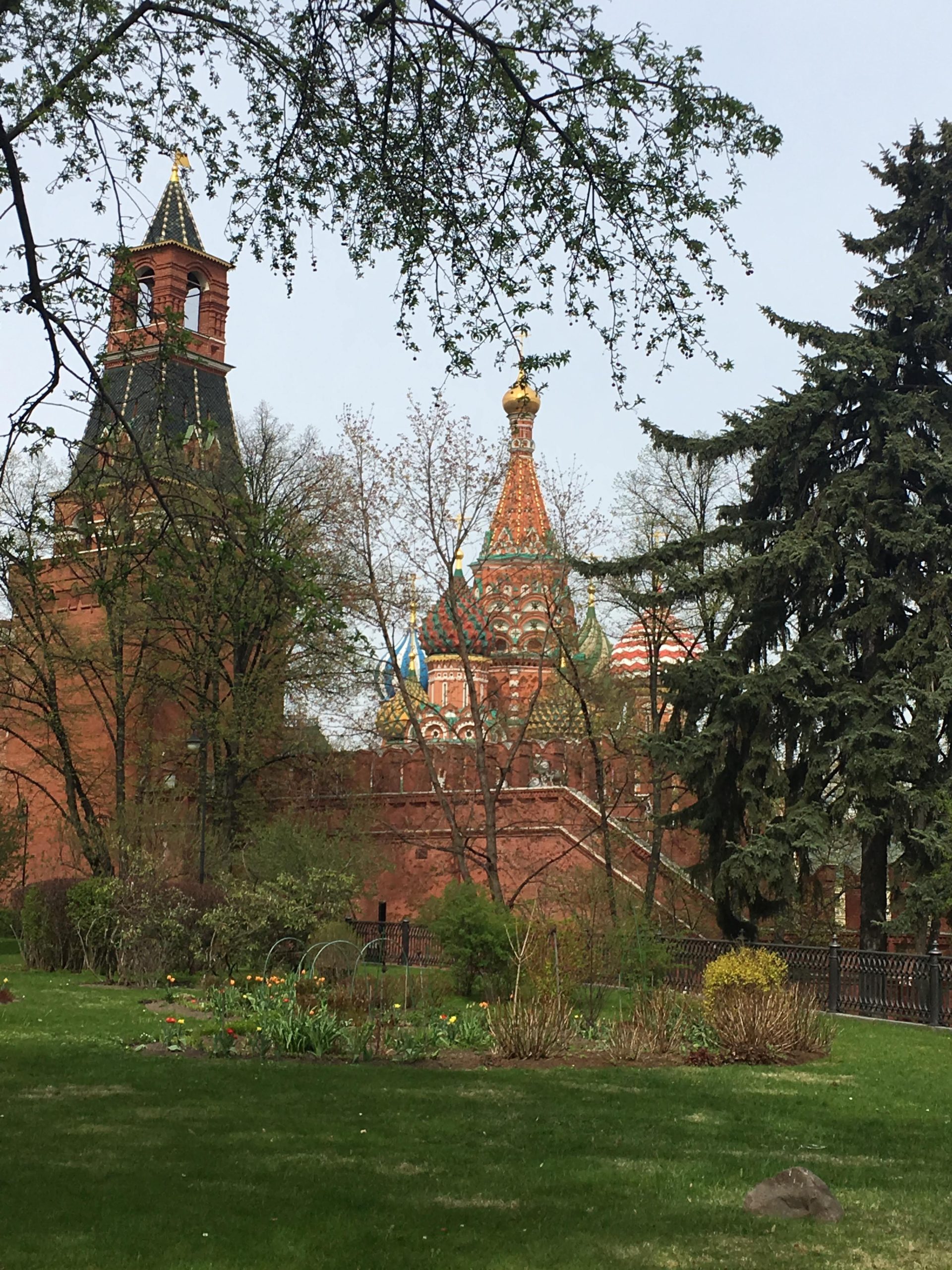 Kremlin wall and towers appearing through the trees of Alexander Garden in Moscow